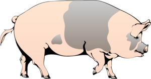 Spotted Pig Clip Art